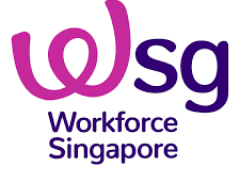 About WSG Logo