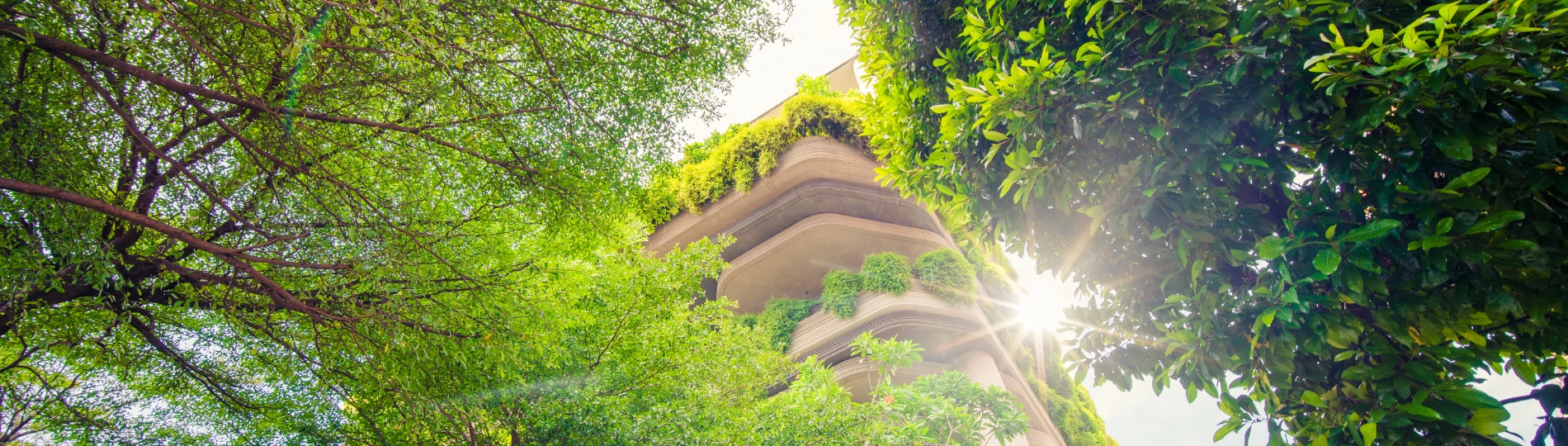 Sustainable Finance JTM